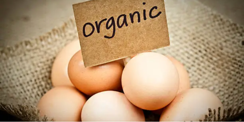 Organic Eggs
